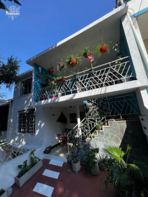 Casa Mandragora